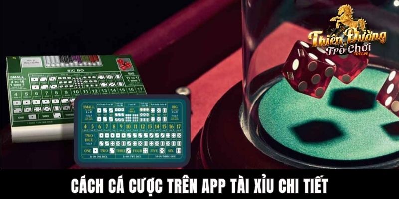 App Tài Xỉu Tiền Ảo TDTC - Ứng Dụng Uy Tín Nhất Hiện Nay Cách cá cược trên app Tài Xỉu chi tiết