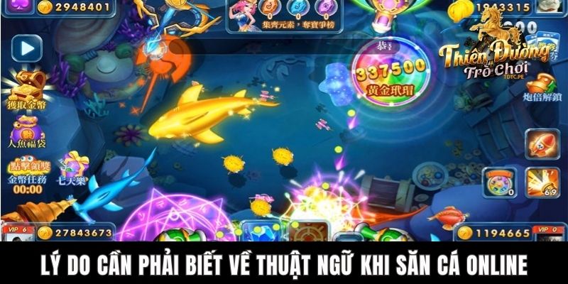 Các Thuật Ngữ Bắn Cá TDTC - Nâng Cao Trải Nghiệm Giải Trí Lý do cần phải biết về thuật ngữ khi săn cá online
