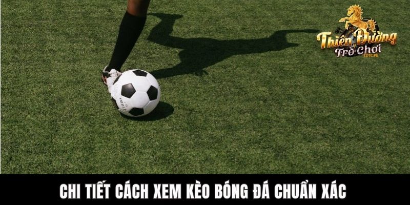 Cách Xem Kèo Bóng Đá Chuẩn Xác Cho Người Mới Tham Gia TDTC Chi tiết cách xem kèo bóng đá chuẩn xác