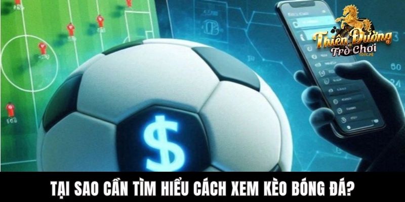 Cách Xem Kèo Bóng Đá Chuẩn Xác Cho Người Mới Tham Gia TDTC Tại sao cần tìm hiểu cách xem kèo bóng đá?