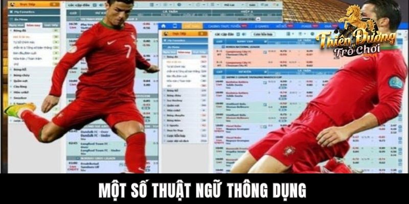 Cách Xem Kèo Bóng Đá Chuẩn Xác Cho Người Mới Tham Gia TDTC Một số thuật ngữ thông dụng