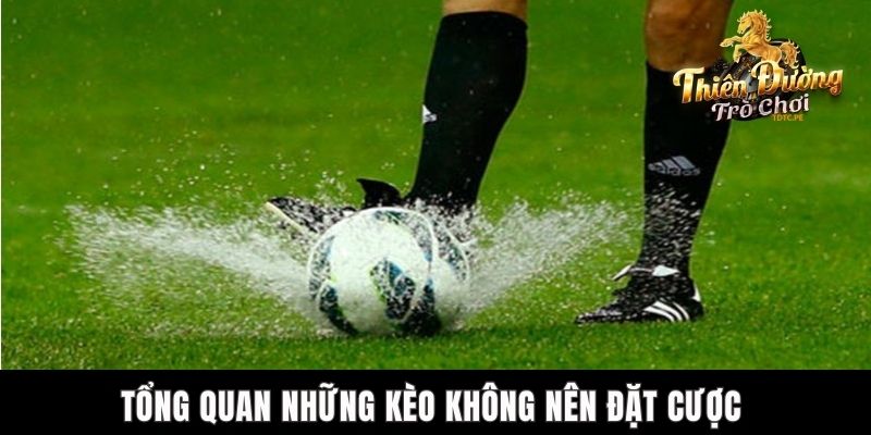Kèo Nào Không Nên Cược Trong Bóng Đá TDTC Tăng Tỷ Lệ Thắng? Tổng quan những kèo không nên đặt cược