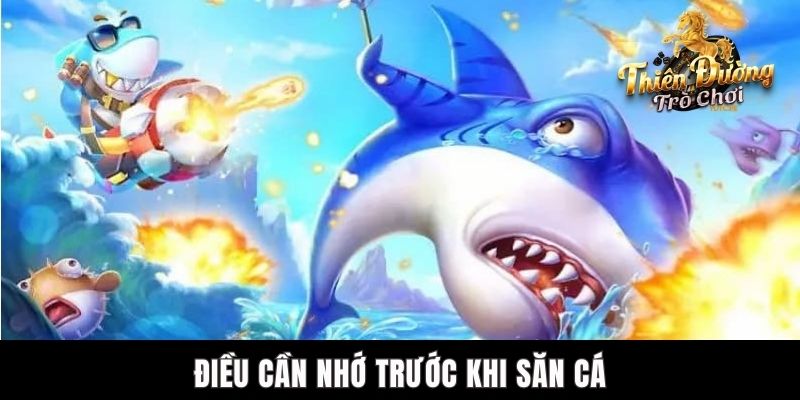 Mẹo Bắn Cá Trúng Thưởng Chuẩn Được Cao Thủ TDTC Chia Sẻ Điều cần nhớ trước khi săn cá