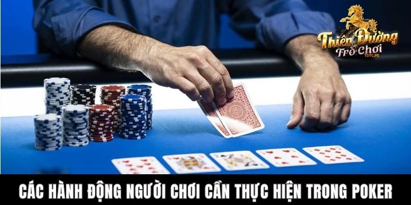 Thuật Ngữ Poker TDTC - Cách Tốt Nhất Để Làm Chủ Bàn Chơi Các hành động người chơi cần thực hiện trong poker