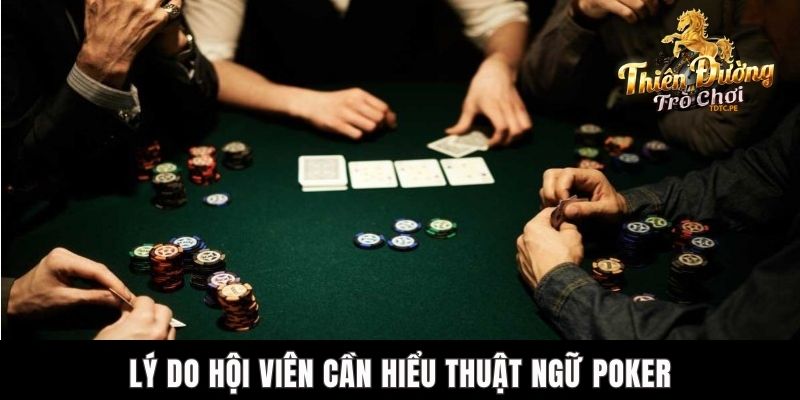 Thuật Ngữ Poker TDTC - Cách Tốt Nhất Để Làm Chủ Bàn Chơi Lý do hội viên cần hiểu thuật ngữ poker