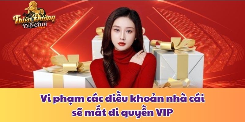 Chương Trình VIP Tdtc - Đặc Quyền Và Cách Thức Tham Gia Vi phạm các điều khoản nhà cái sẽ mất đi quyền VIP